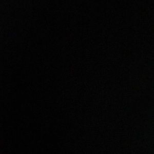 Meet your Posher, Ginger